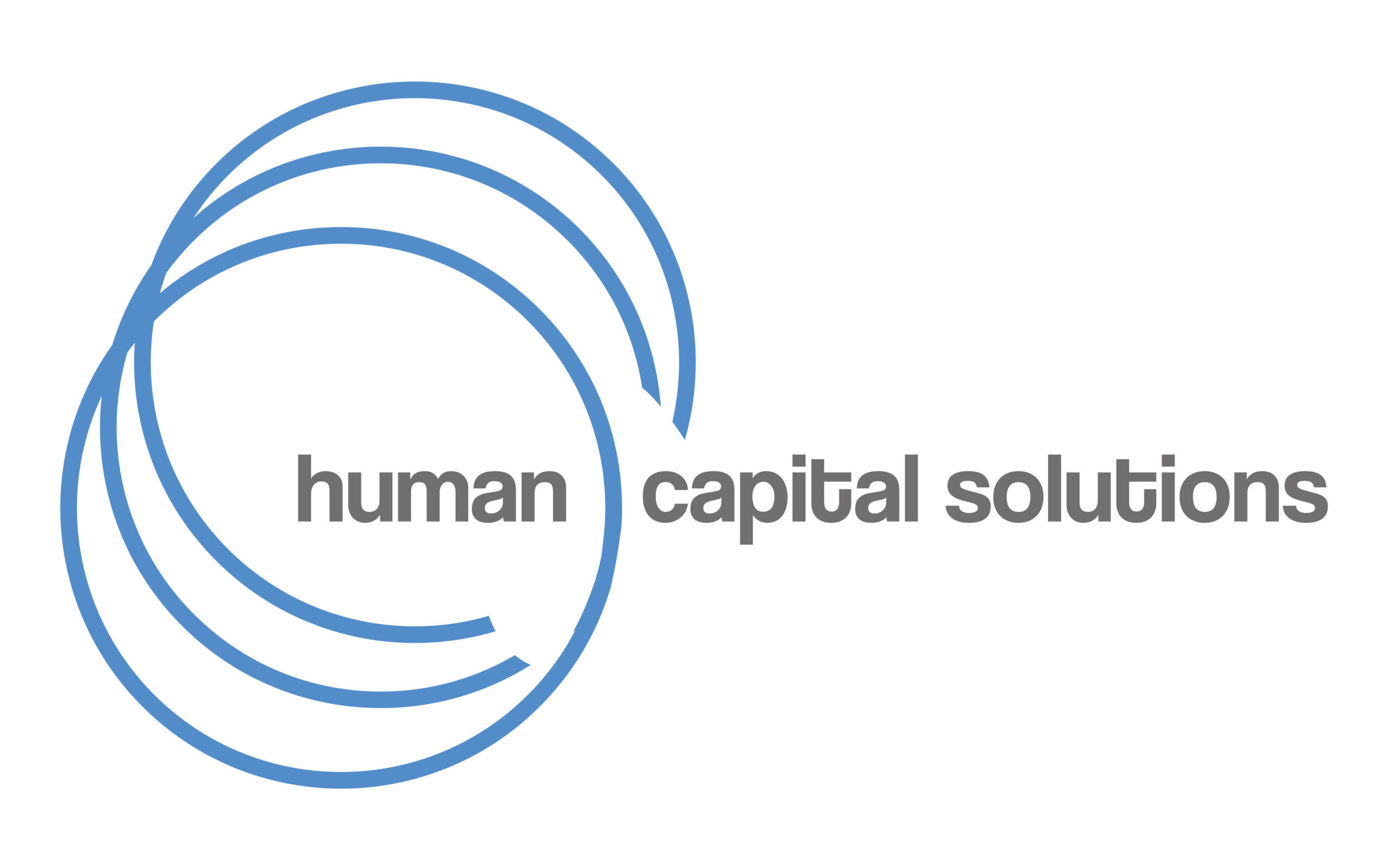 human capital solutions